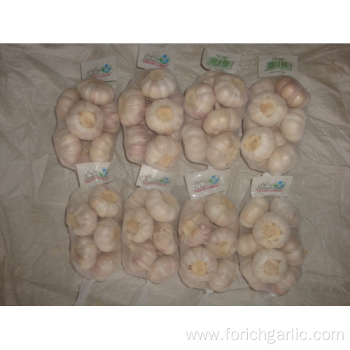 Normal white garlic packed in 500g bag